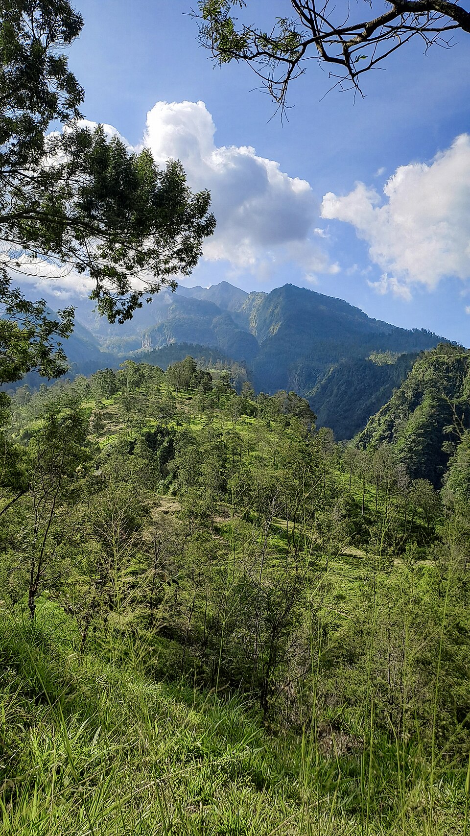 Tlogo Putri di Kaliurang