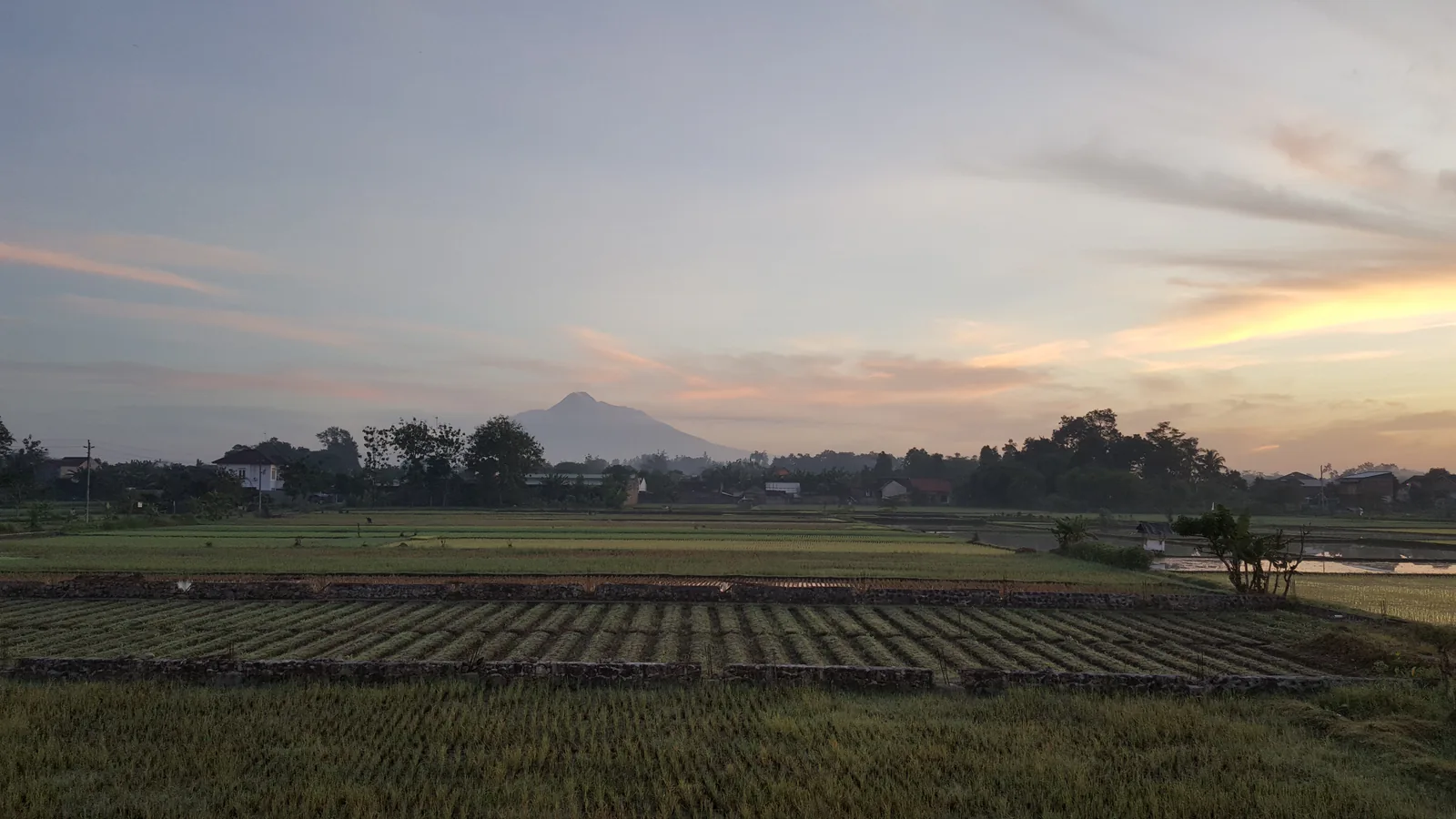 Pemandangan Gunung Merapi dan persawahan